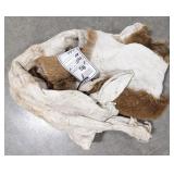 Red Stag Salt Dried Cape