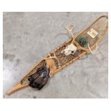 Vtg Snow Shoe Deer Skull & Antler Display