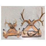 Deer Antler & Hoof Coat Racks