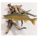 Walleye Taxidermy Mount on Driftwood