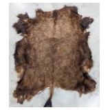 Tanned American Bison Taxidermy Hide Rug