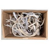 29lbs of Dried Antler Sheds