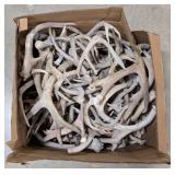 68lbs of Dried Antler Sheds
