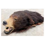 Black Bear Head Rug Taxidermy Mount