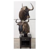 African Black & Blue Wildebeest Pedestal Taxidermy