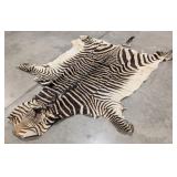 Large Tanned African Zebra Hide w/ Face & Tail