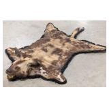 ULTRA RARE African Wild Dog or Painted Dog Hide Ta