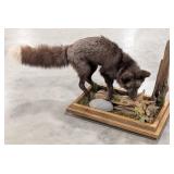 Hunting Black Fox & Squirrel Full Body Taxidermy w