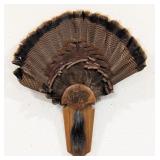 Turkey Fan & Beard Taxidermy Display on Plaque