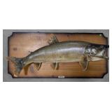 Large Lake Trout Taxidermy Mount on Plaque