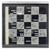 Framed Checkered Flag Signed by Many 1995 Indianap
