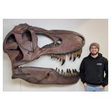 Giant T-Rex Tyrannosaurus Rex Dinosaur Skull Wall