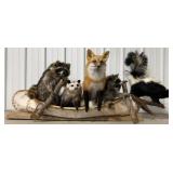 Noah's Ark Birch Bark Canoe Taxidermy