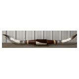 6ï¿½5' Mounted Longhorn Horns