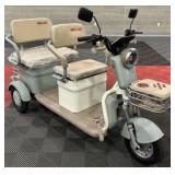 iRANCH IRGC40 High-End Mini Golf Cart