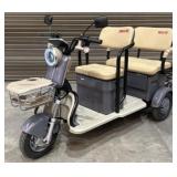 iRANCH IRGC40 High-End Mini Golf Cart