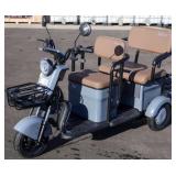 iRANCH IRGC40 High-End Mini Golf Cart