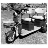 iRANCH IRGC40 High-End Mini Golf Cart