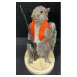 Gray Squirrel Full Body Taxidermy Mount with Vest