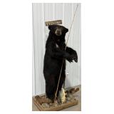 Fishing Black Bear Full Body Taxidermy Mount on Ha