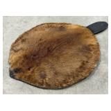 Beaver Hide Pelt w/ Tail on Board