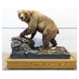 Full Body Brown Bear w/ Fish Taxidermy Mount