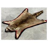 Raccoon Hide Taxidermy Rug w/ Felt Backing