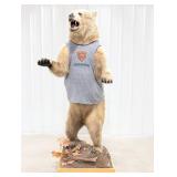 Upright Brown Bear Full Body Taxidermy on Habitat