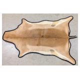 African Impala Hide Rug Taxidermy w/ Rug Backing