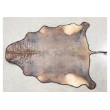 African Tsessebe Hide Rug Taxidermy w/ Rug Backing