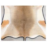 African Impala Hide Rug Taxidermy w/ Rug Backing