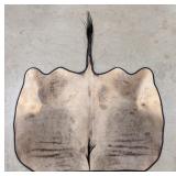 African Wildebeest Back Hide Rug w/ Rug Backing