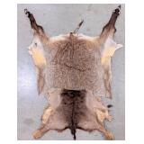 (2) Tanned African Back Hides