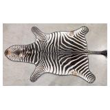 African Zebra Hide Rug Taxidermy w/ Rug Backing
