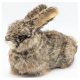 Stylized Taxidermy Bunny Rabbit