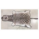 African Zebra Pelt Taxidermy Rug w/ Felt Backing