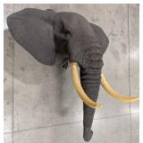 Real Skin African Elephant Shoulder Mount Taxiderm