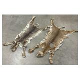 (2) Tanned Bobcat Hide Pelts