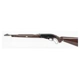 Remington Model 76 Nylon .22 LR Lever Action