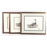 (3) Ltd Edition Sonny Bashore Migratory Waterfowl