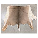 Whitetail Deer Tanned Back Hide
