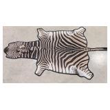 African Zebra Rug Taxidermy w/ Felt Backing