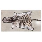 African Zebra Rug Taxidermy w/ Felt Backing