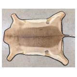 African Impala Rug Taxidermy w/ Rug Backing