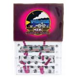 MTH Illinois Central E-8 ABA Diesel Engine Set 20-