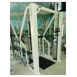Cybex Smith Press Machine