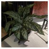 Napoleon III Style Jardinire Planter With Faux Pl