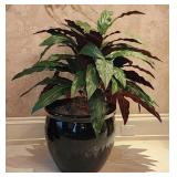 Faux Aspidistra Plant With Black Planter