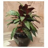 Faux Aspidistra Plant With Black Planter