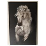 Sarah Catherine White Stallion Portrait